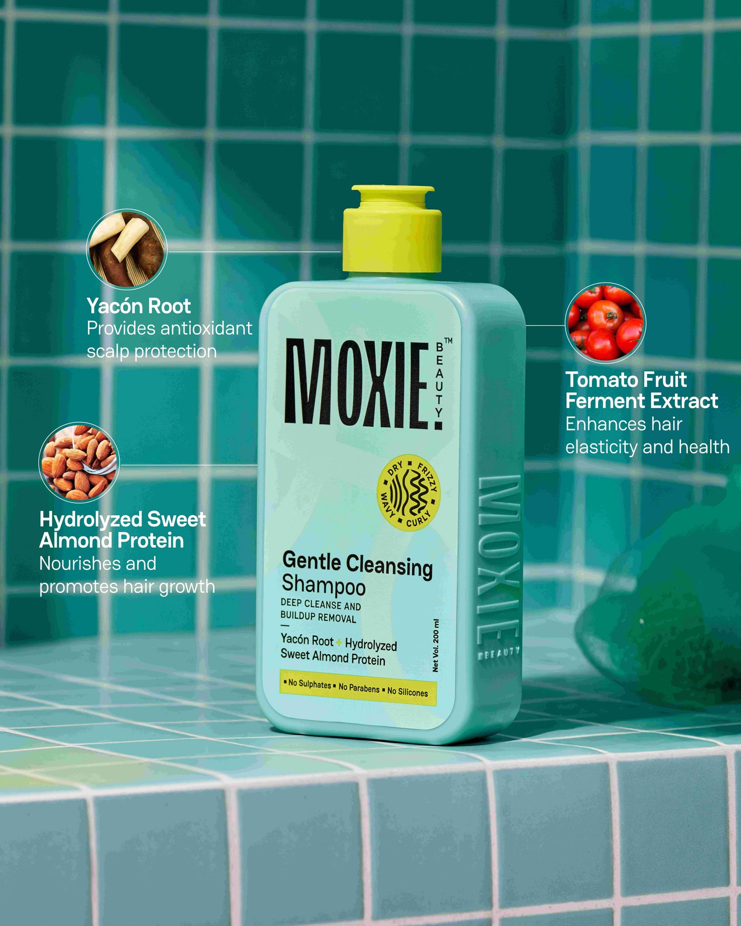 Cleansing Shampoo ingredients with yacón root, hydrolyzed sweet almond protein, and tomato fruit ferment extract