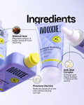 
Moxie Beauty Scalp SOS Routine key ingredients for dandruff free scalp care